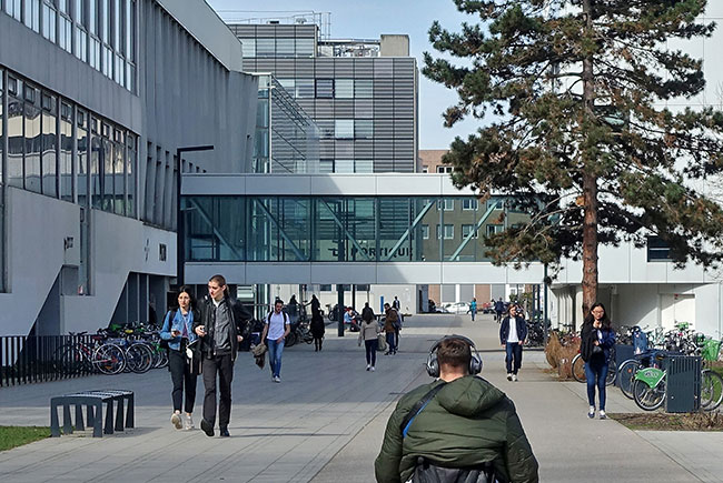 Illustration de la rencontre avec les lycéennes et lycéens des classes de première et terminale en situation de handicap et leurs familles